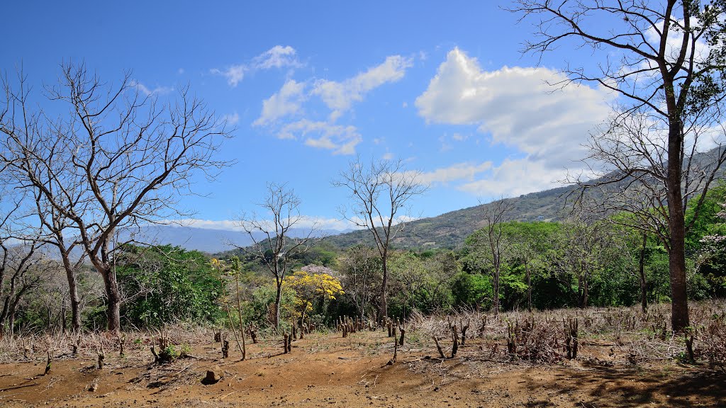 El Rodeo, San José, Costa Rica by latforum