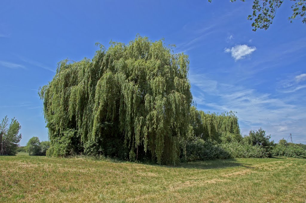 Mühlheim am Main, Germany by Jürgen Düring