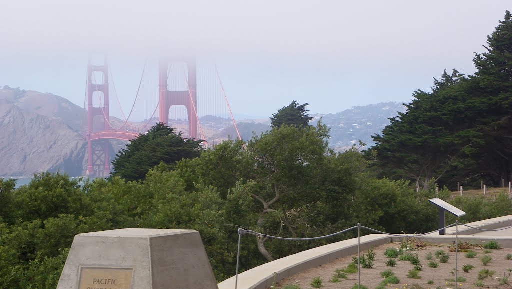 Presidio, San Francisco, CA, USA by Tony Castel