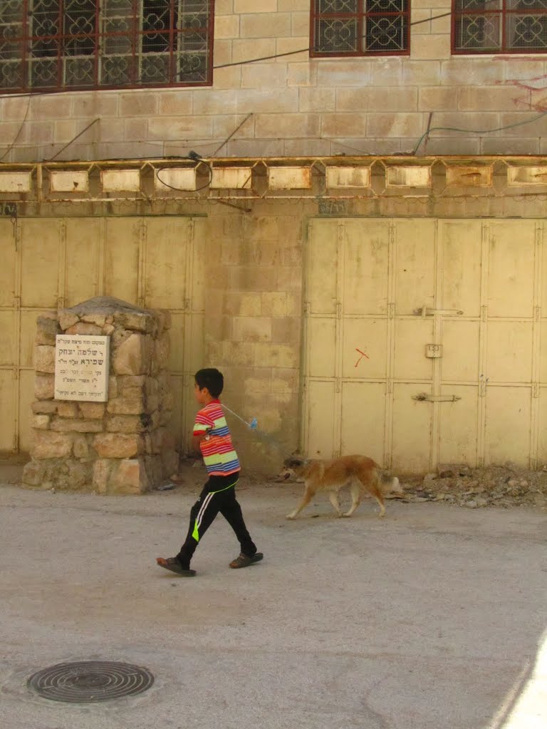 Palestinian Kid, Hebron by Jaim Uruna