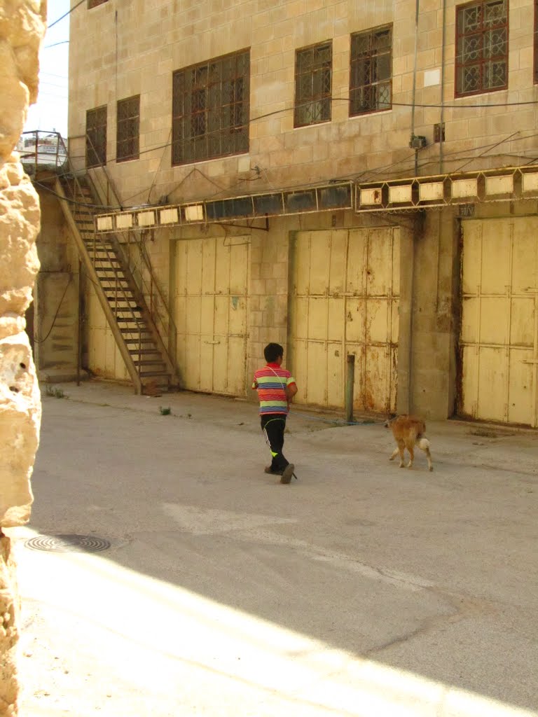 Palestinian Kid, Hebron by Jaim Uruna