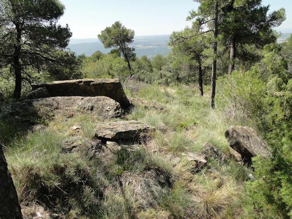 Dolmen de Boixadors. Sant Mateu del Bages by Sala-Serrahima