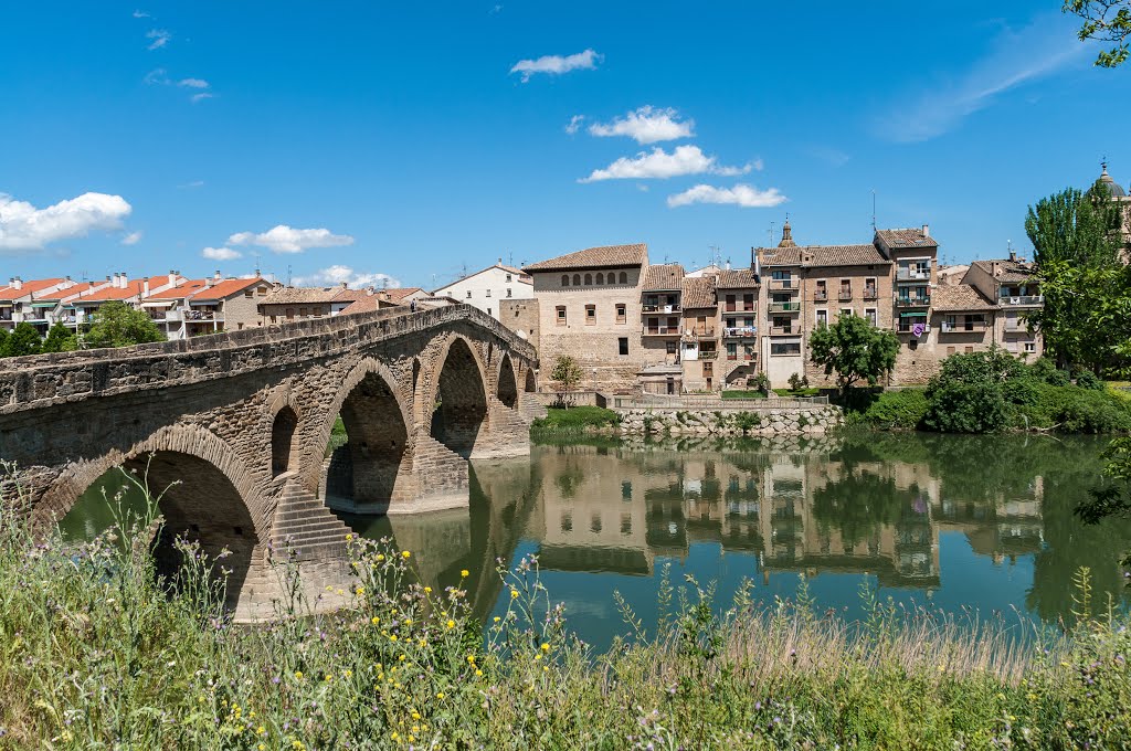 Puente la Reina by magoncan