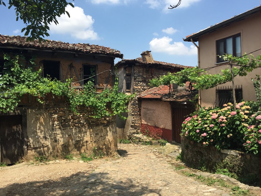 Bursa, Turkey by Yunus coşgun