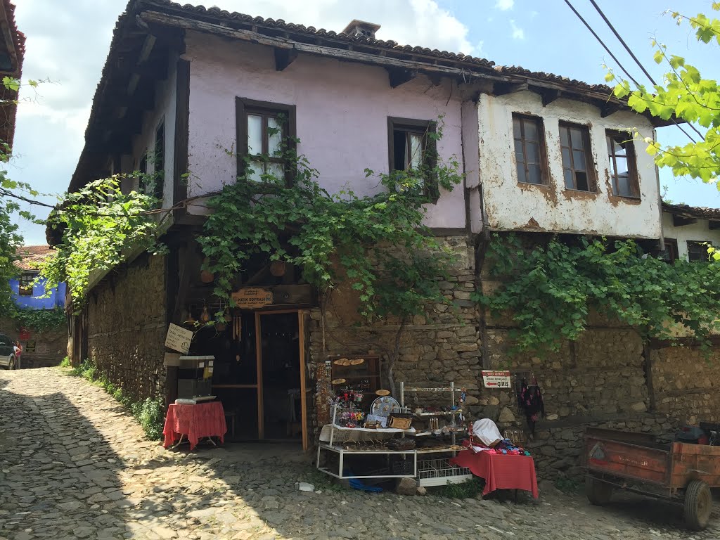 Bursa, Turkey by Yunus coşgun