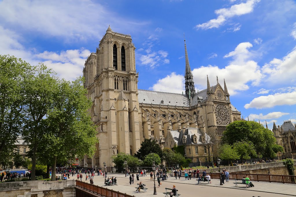 Catedral de Notre Dame, París, Francia. by Octavio Aldea