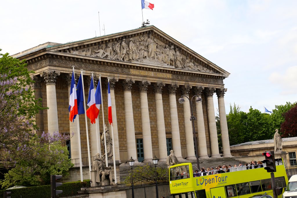 Asamblea Nacional, París, Francia. by Octavio Aldea