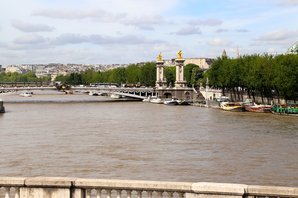 Sena, París, Francia. by Octavio Aldea