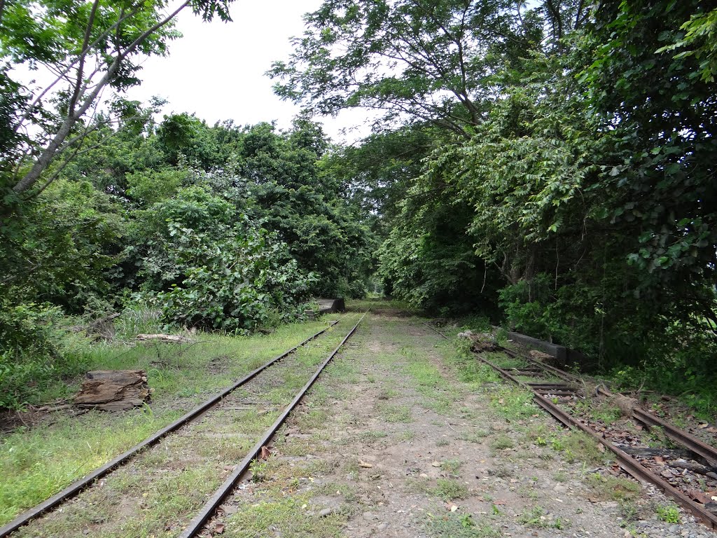 Linea de Ferrocaril Electrico al Pacifico en Jesus Maria by Gino Vivi