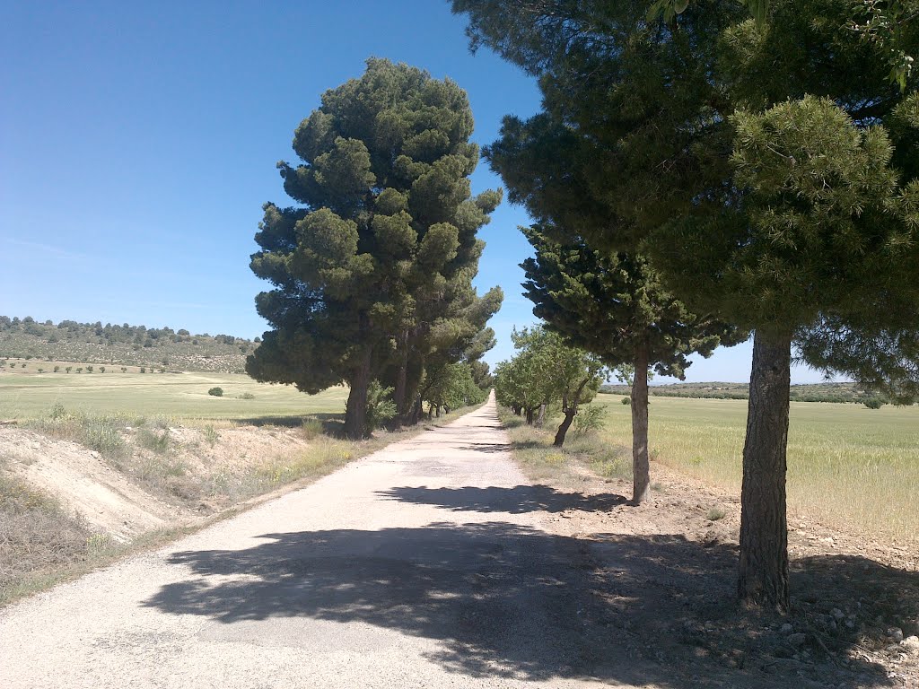 Peñas de San Pedro, Albacete, Spain by RAFACOL db