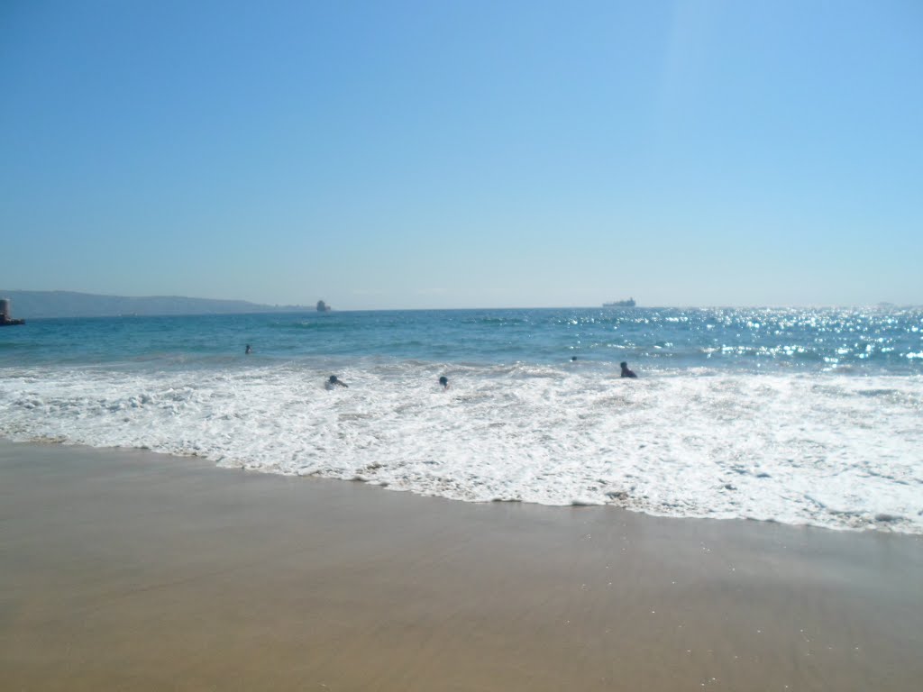 Viña del Mar, Valparaiso Region, Chile by coyuyim