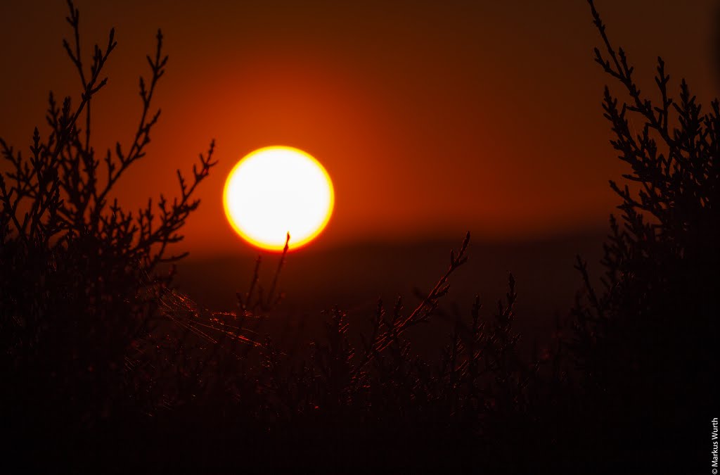 Sunset Gigaro by Markus Wurth