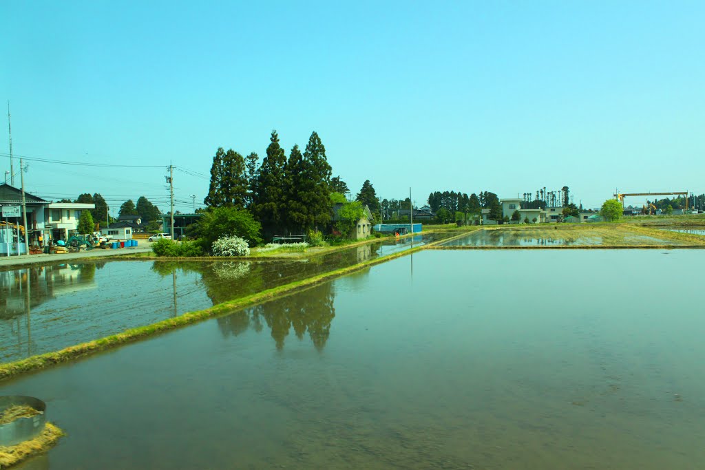 Nakanoban, Toyama, Toyama Prefecture 930-1315, Japan by quanphe ngoduc