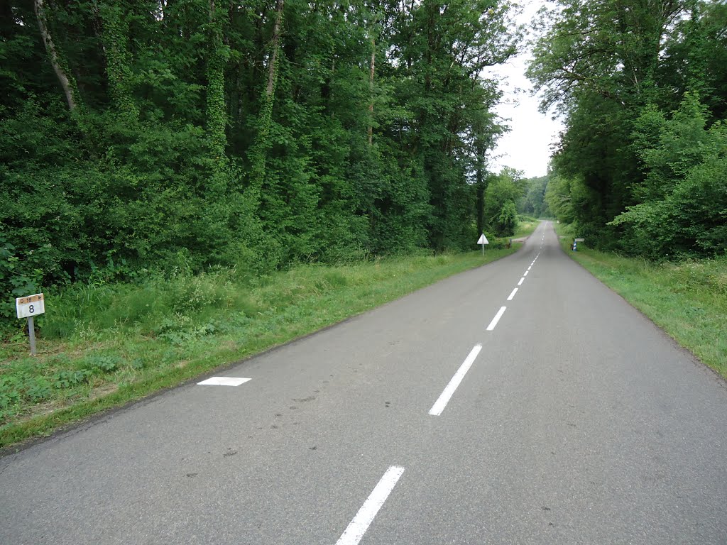 Km8 sur la D18 au Grand Bois de Georfans vers Vellechevreux by Claudius B.