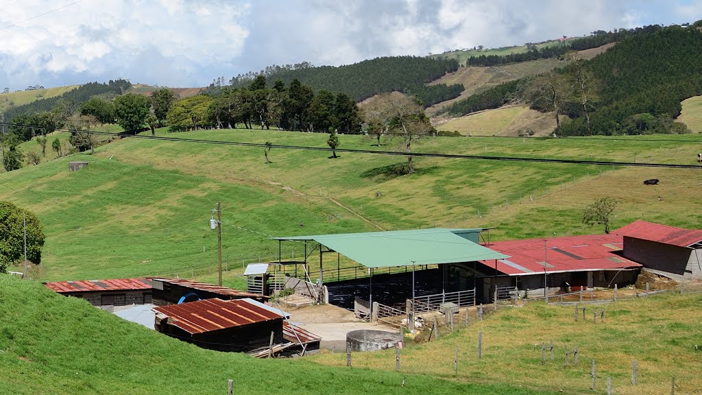 Alajuela, Alfaro Ruiz, Costa Rica by latforum