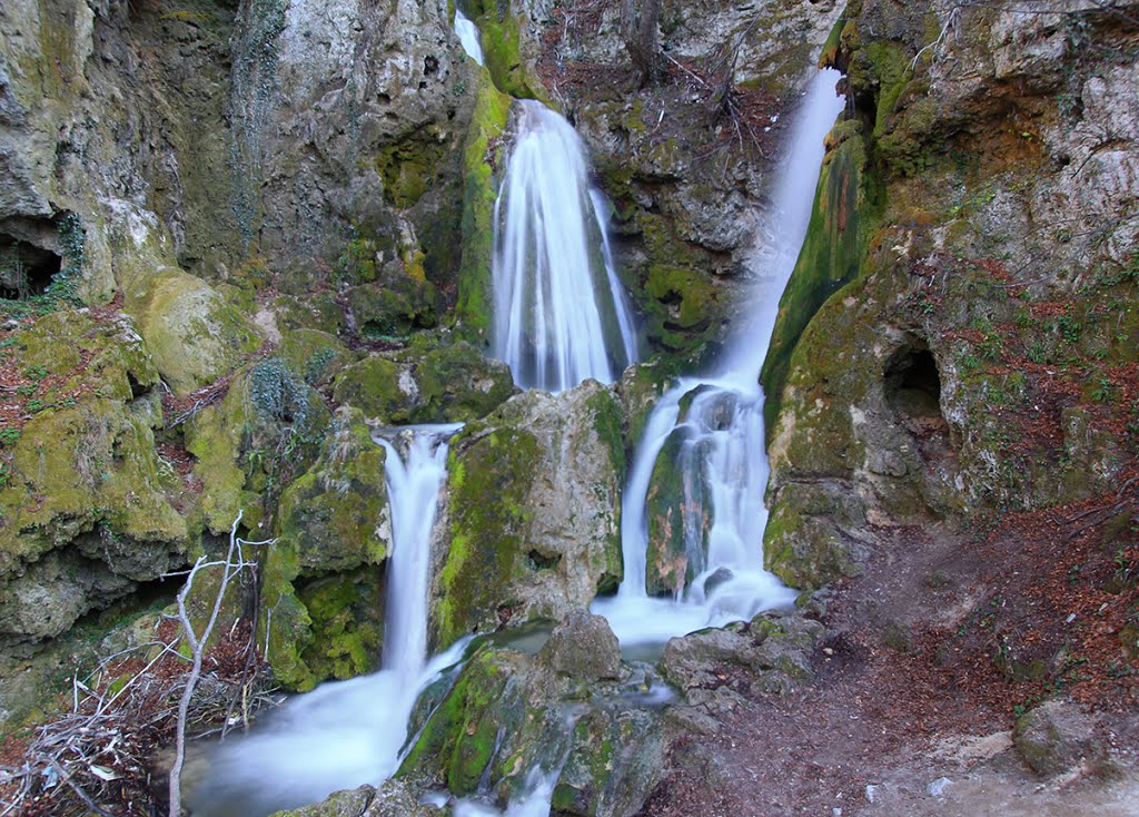 Bachkovo falls / Бачковски водопад by Eugene Hristov (evg7…