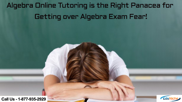 Algebra online tutoring by Edu- Niche