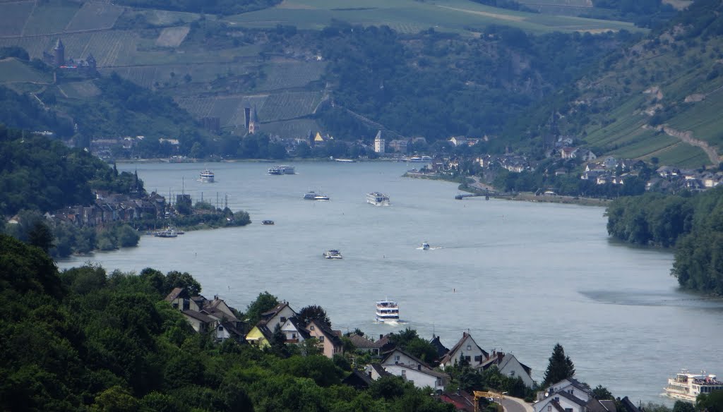 Blick Rhein abwärts by Frank Frankenstein