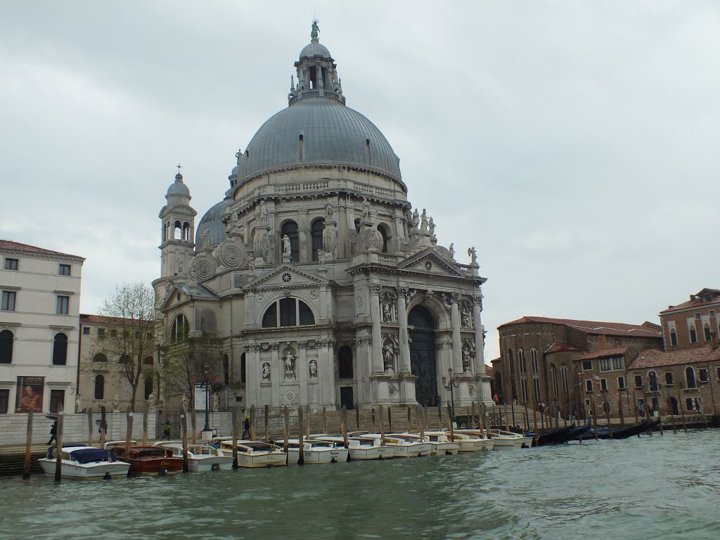 Campo della Salute, Grand Canal, Venice, Italy by AnandLeo