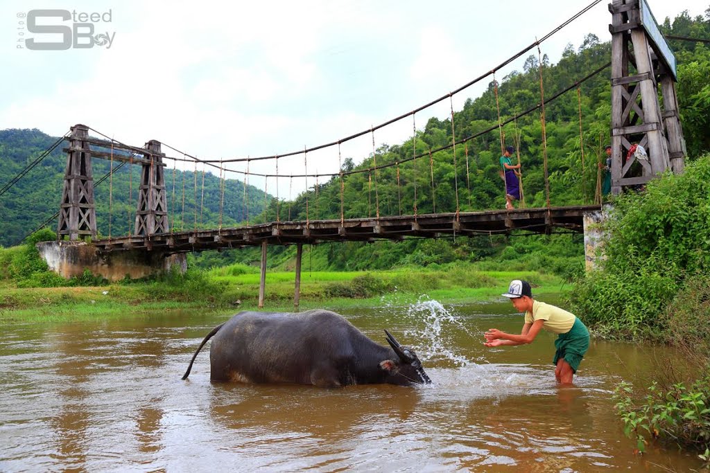 Kyaukme , Northern Shan State,Myanmar.(Photo by- Steed Boy) by Nang  Khon thi