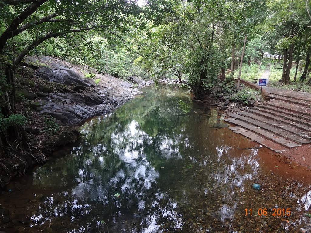 RIVER AT TAMBADI SURLA. by Avinash Hogade