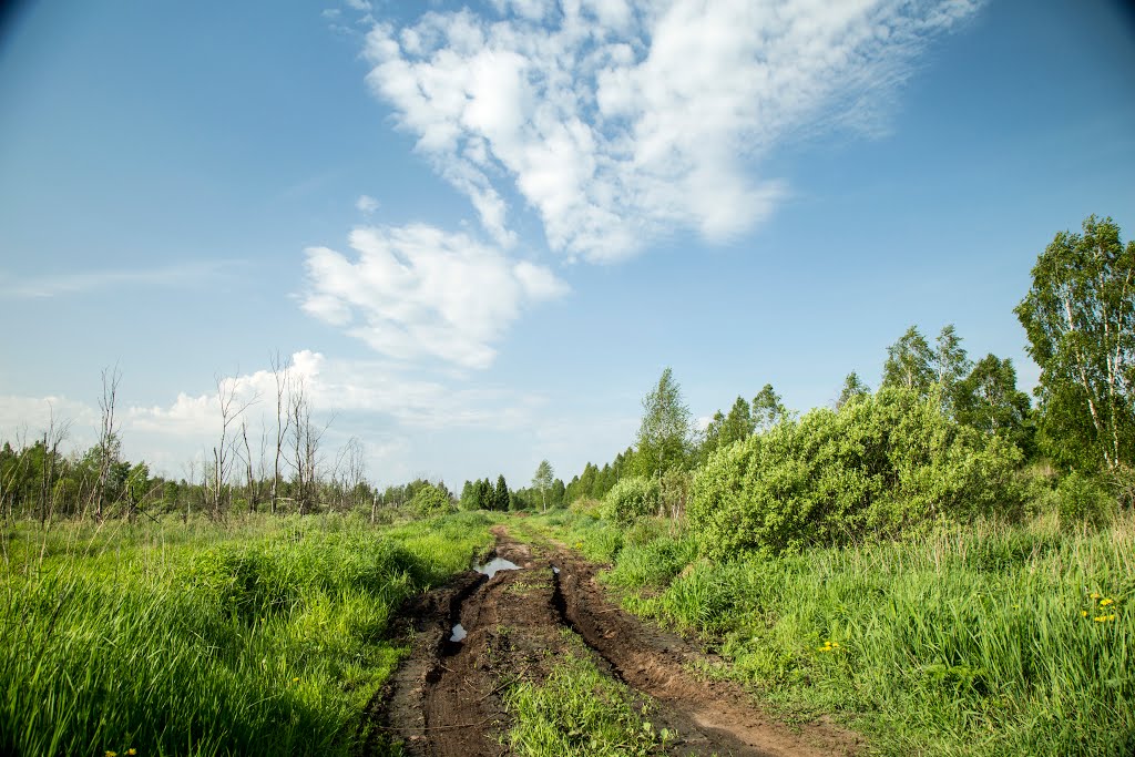 Kirzhachsky District, Vladimir Oblast, Russia by Пётр Климачёв