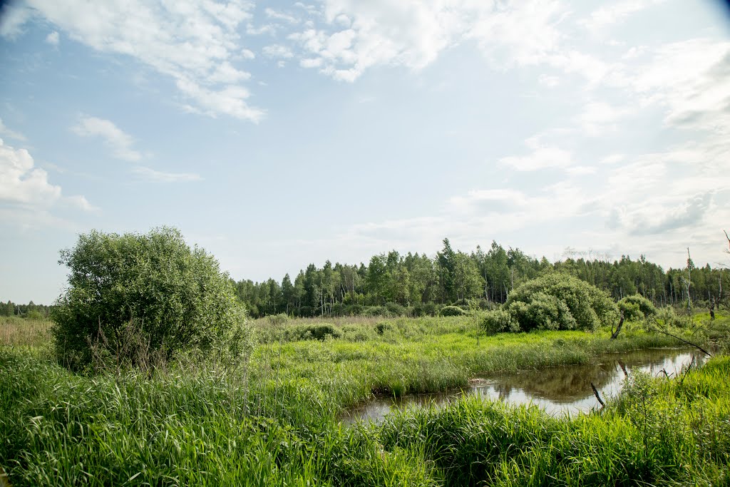 Kirzhachsky District, Vladimir Oblast, Russia by Пётр Климачёв