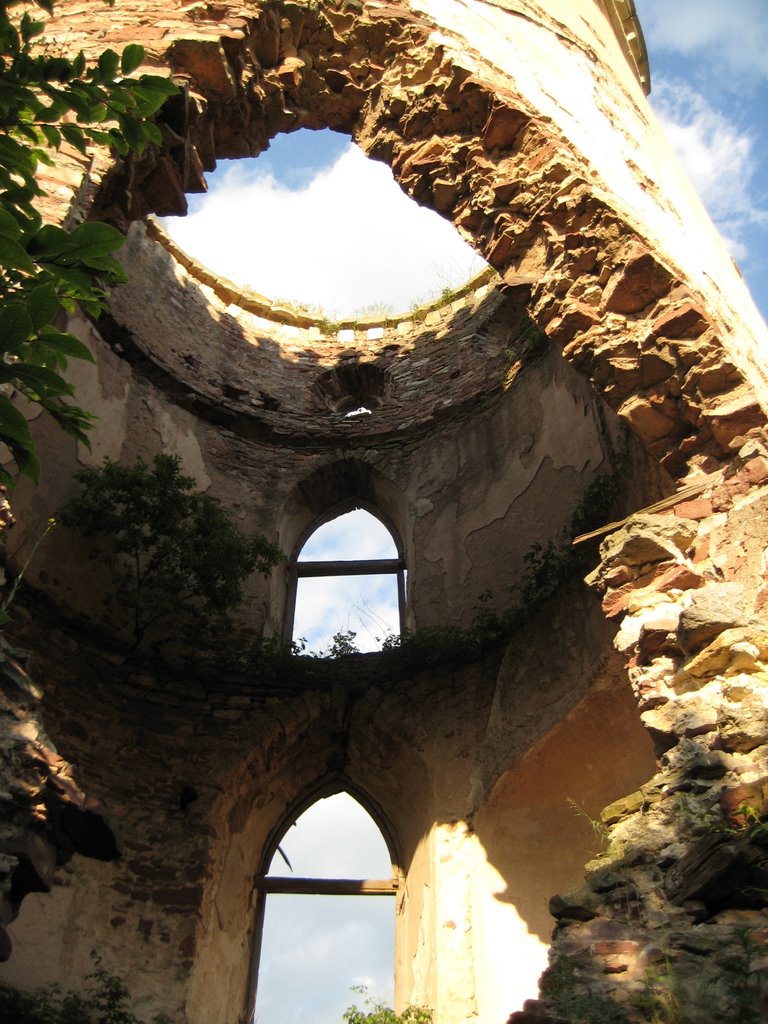 Ruins of the castle( town) Chervonogorod by docsergiy