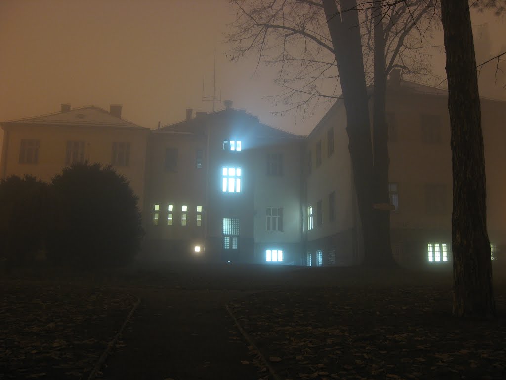 Town Hall on a Foggy Evening by Marko Randjic