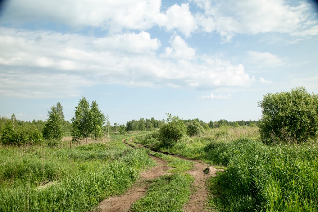 Kirzhachsky District, Vladimir Oblast, Russia by Пётр Климачёв