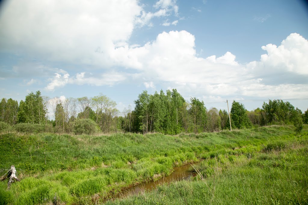 Kirzhachsky District, Vladimir Oblast, Russia by Пётр Климачёв