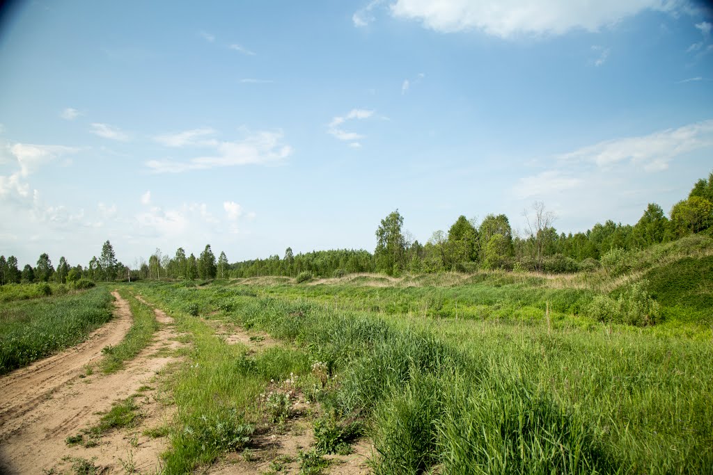 Kirzhachsky District, Vladimir Oblast, Russia by Пётр Климачёв