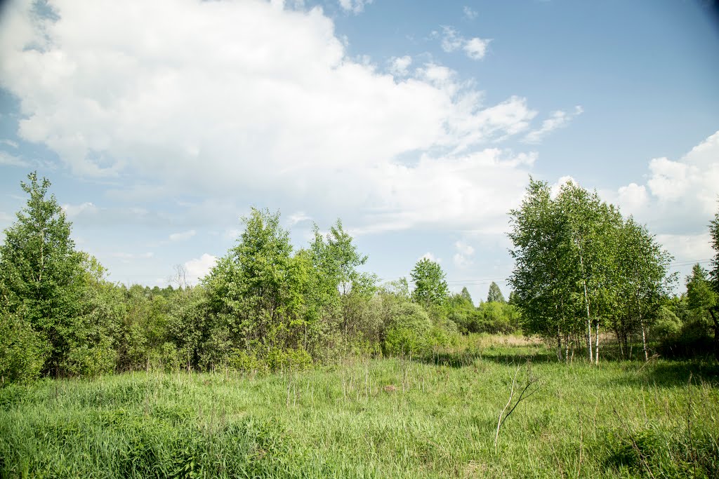 Kirzhachsky District, Vladimir Oblast, Russia by Пётр Климачёв