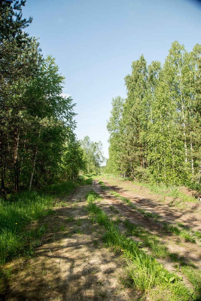 Kirzhachsky District, Vladimir Oblast, Russia by Пётр Климачёв