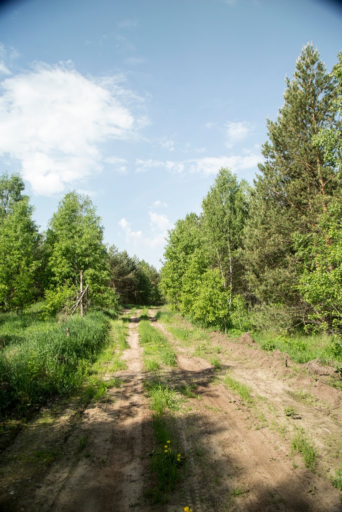 Kirzhachsky District, Vladimir Oblast, Russia by Пётр Климачёв