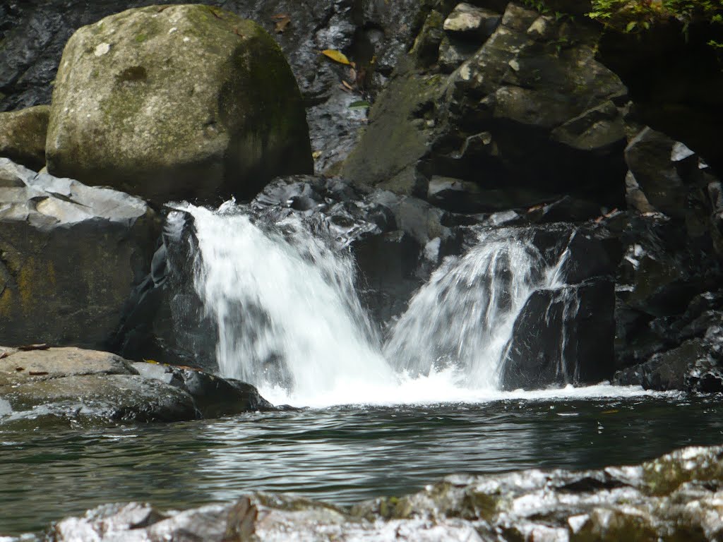 Las 7 cascadas, Esmeraldas, Ecuador by Fernando S.