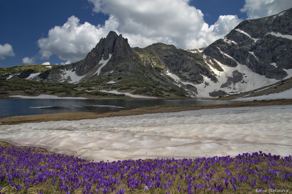 Рила, Седемте Рилски езера - Близнака и връх Харамията / Rila mountain, Seven Rila lakes - Lake Bliznaka and Peak Haramiata by Elena Stefanova