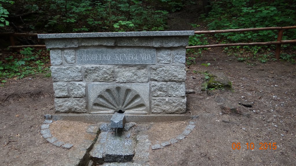 Karkonoski Park Narodowy Czerwony Szlak na Zamek Chojnik - Źródełko Kunegundy by Andrzej Wacławek