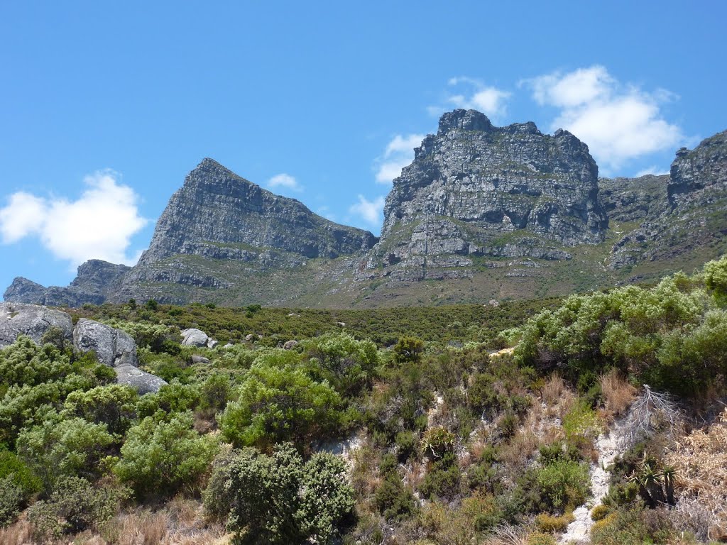 Back side of Table Mountain by Frank Taylor