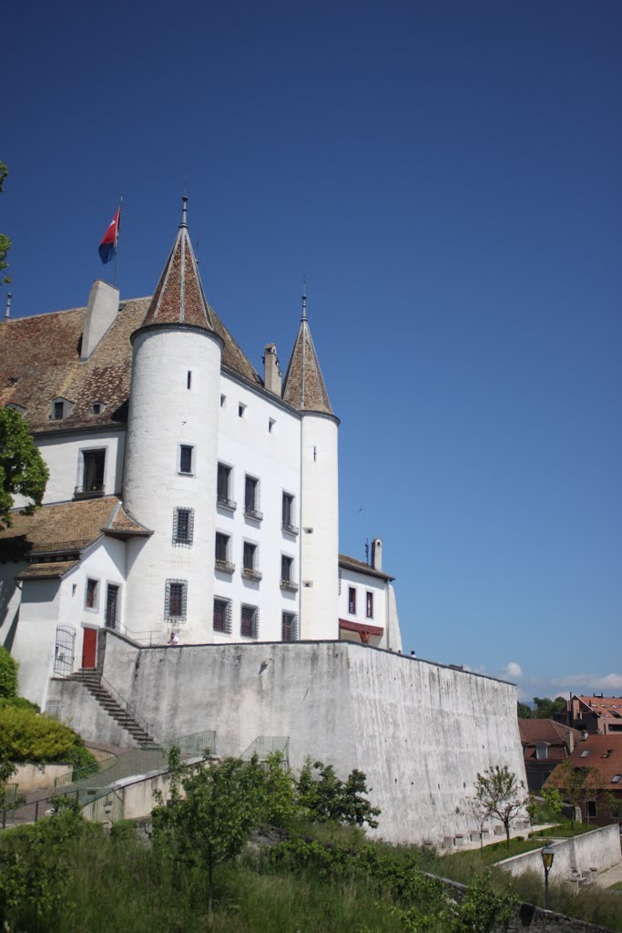 Switzerland, Geneva, Nyon- Castle of Nyon by Paulo Silva