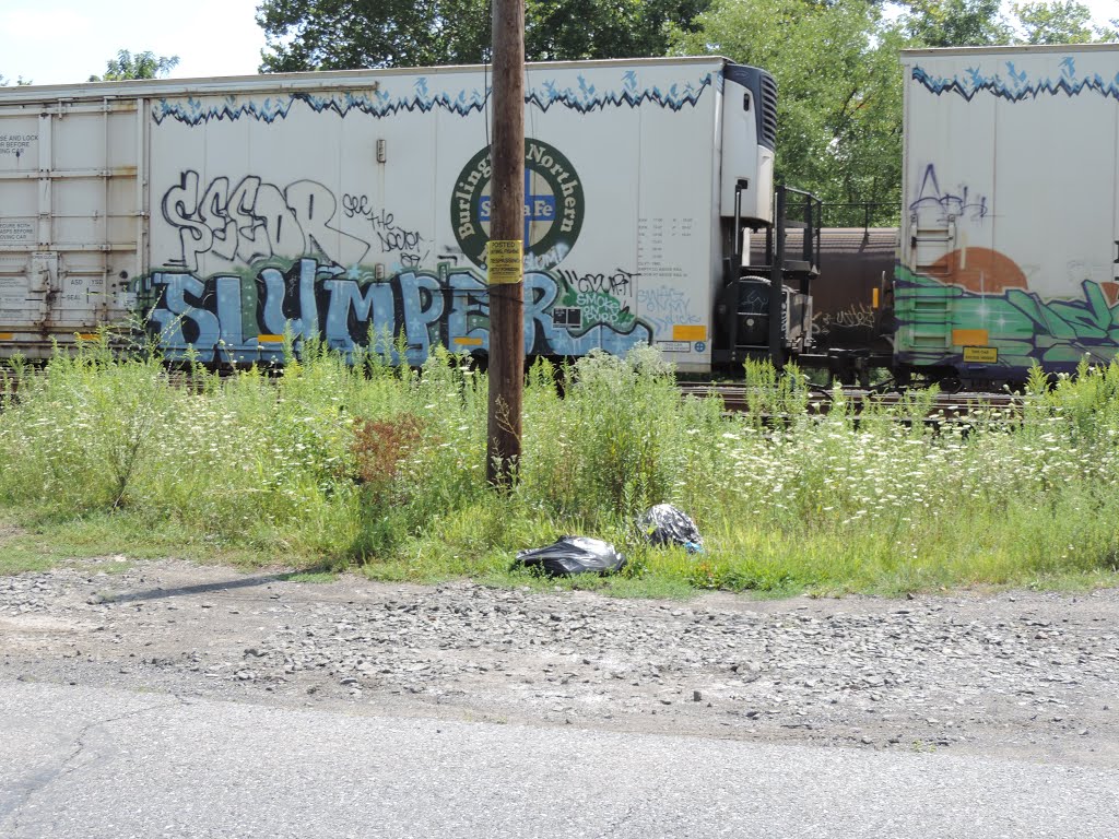 River Drive Allentown - Summer 2014 by STOP DUMPING in ALLE…