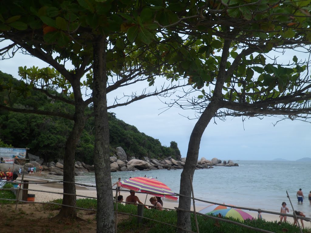 Praia da Tainha - Bombinhas - SC - Brasil by Jayme Camargo