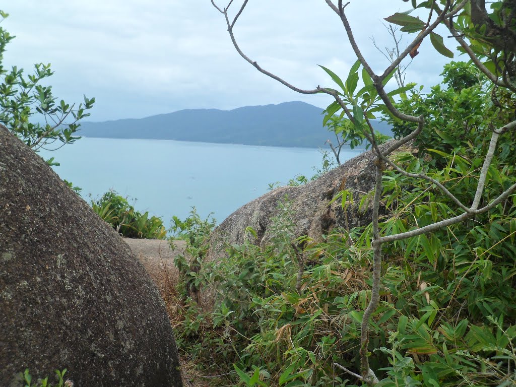 Vista do Morro da Tainha - Bombinhas - SC - Brasil by Jayme Camargo