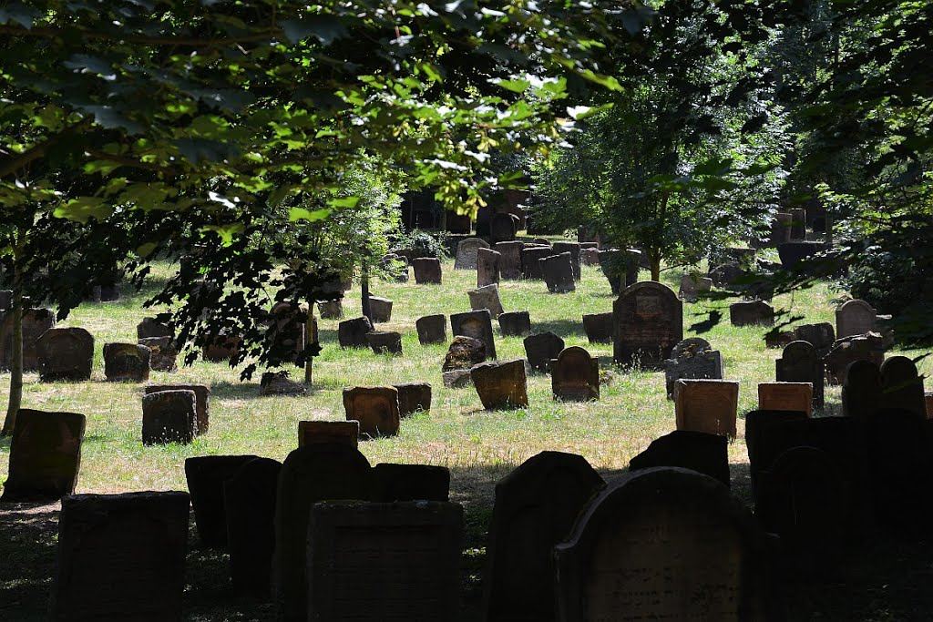 Auf dem jüdischen Friedhof "Heiliger Sand" by hadewephoto