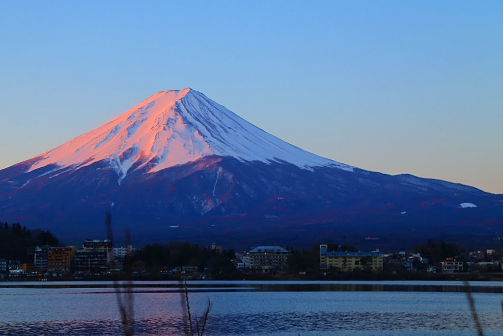 Azagawa, Fujikawaguchiko, Minamitsuru District, Yamanashi Prefecture 401-0303, Japan by Dần Lê