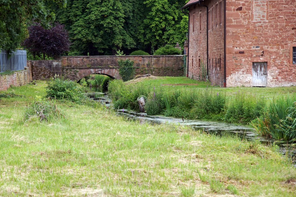 63654 Büdingen, Germany by Jürgen Düring