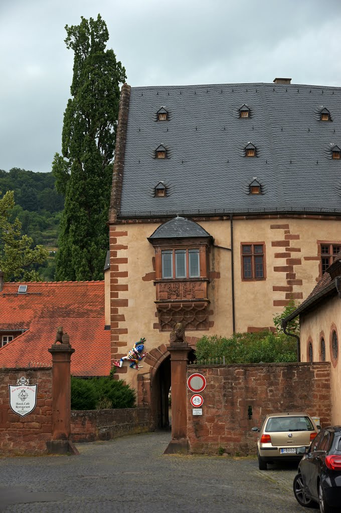 63654 Büdingen, Germany by Jürgen Düring