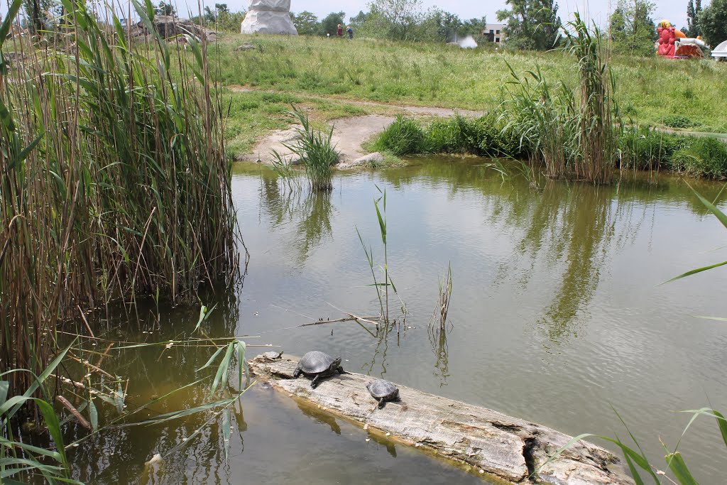 Voznesenivskyi district, Zaporizhia, Zaporiz'ka oblast, Ukraine by Приключения Adventur…