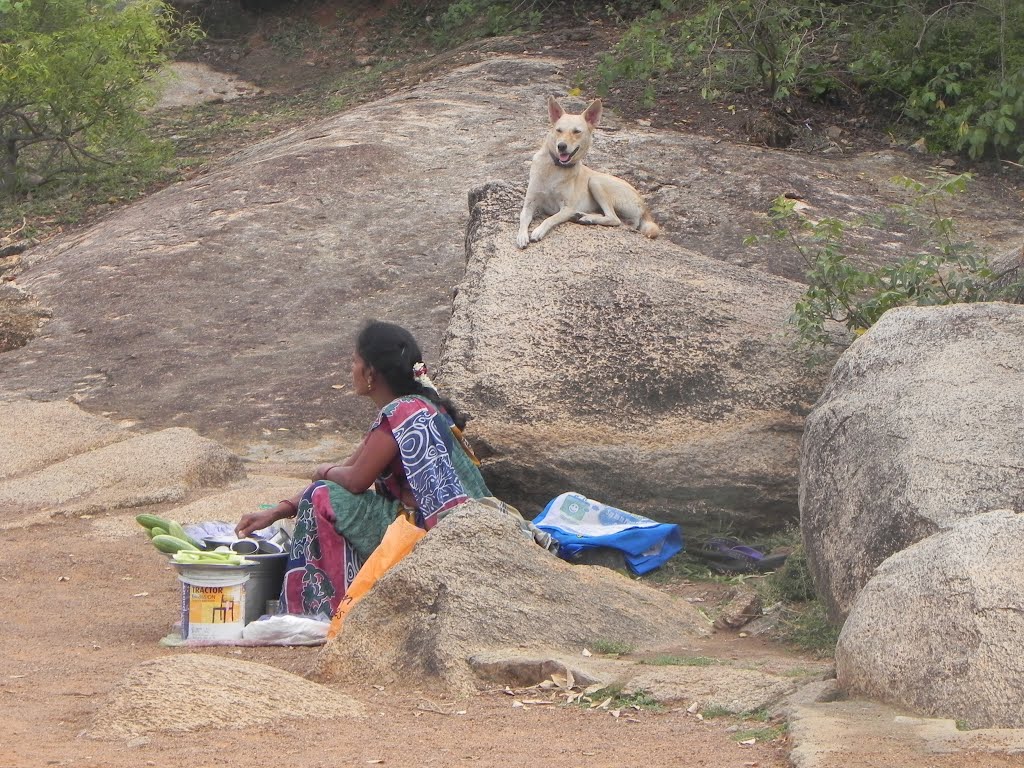 CUCUMBER SELLER AND HER DOG, MAMALLAPURAM by ALENDE DEVASIA