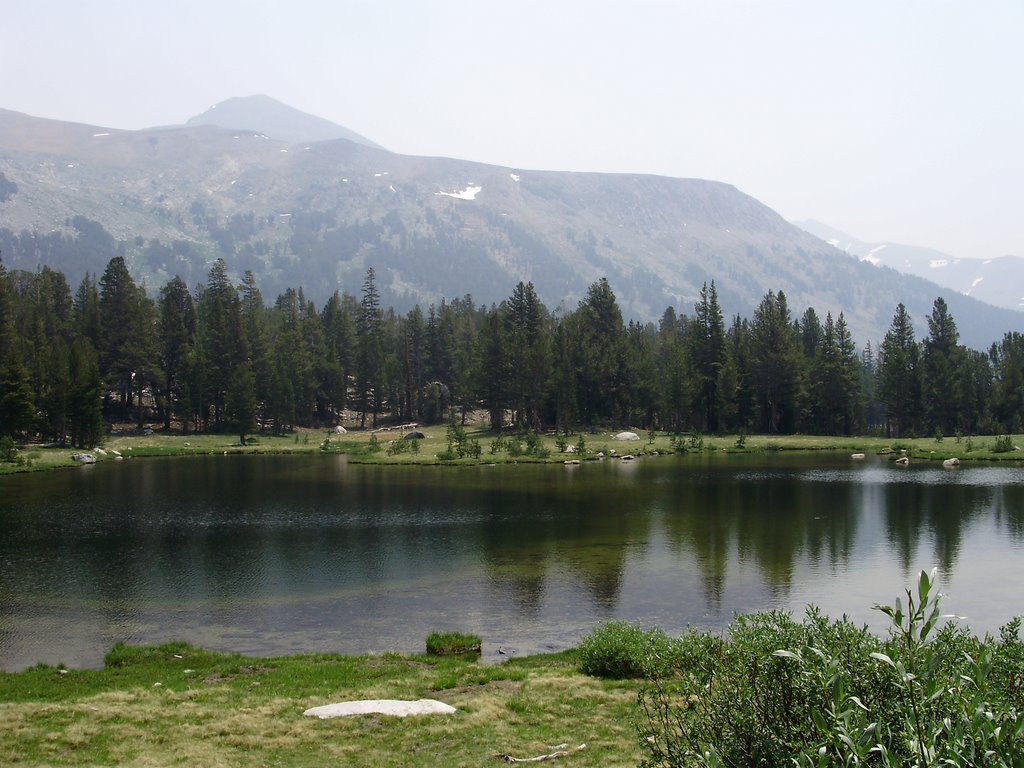 Lake at Dana Meadows, just west of Tioga Pass Yosemite entrance by Cassygirl